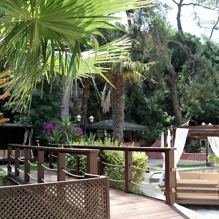 Hotel Baga 3*