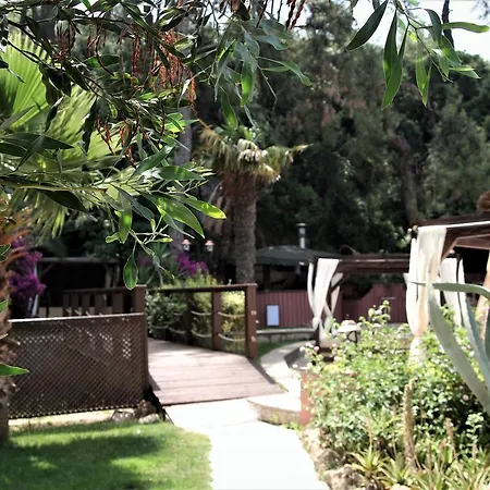 Baga מלון